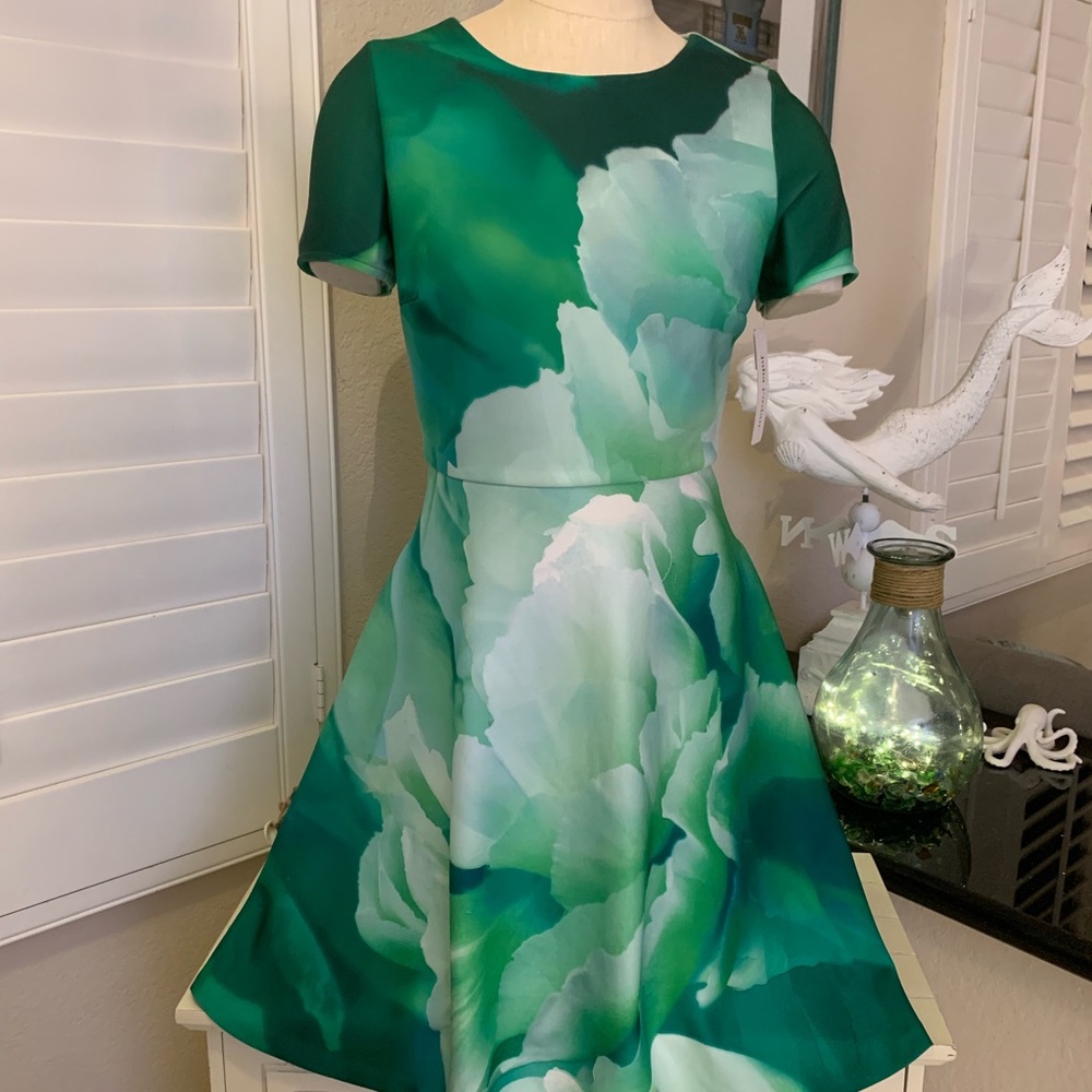 Julia Jordan, NWT, green & white, floral dress.